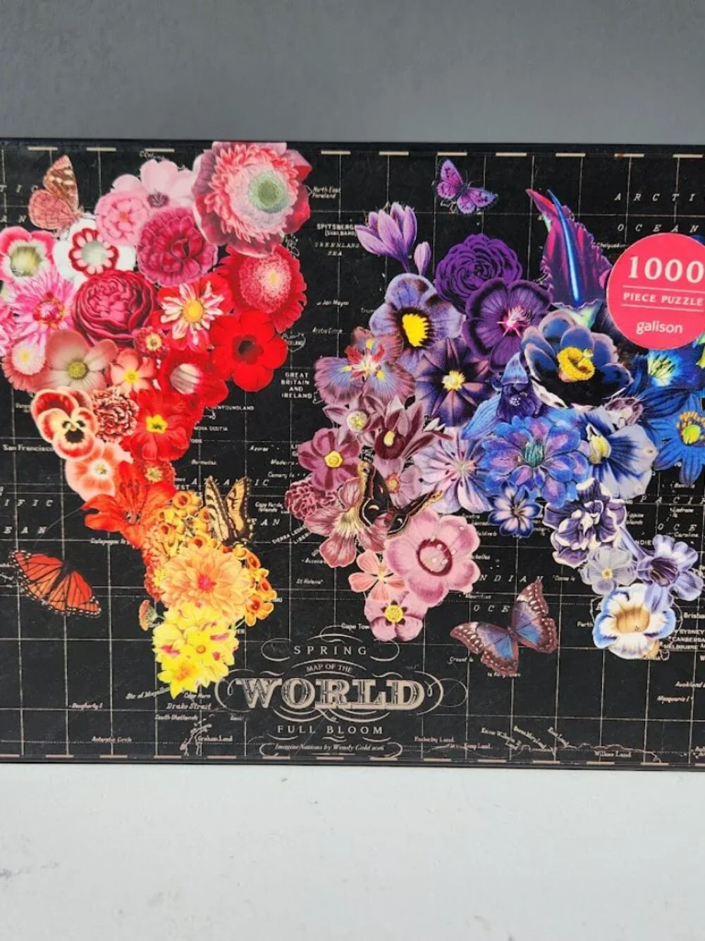 Ravensburger galison full